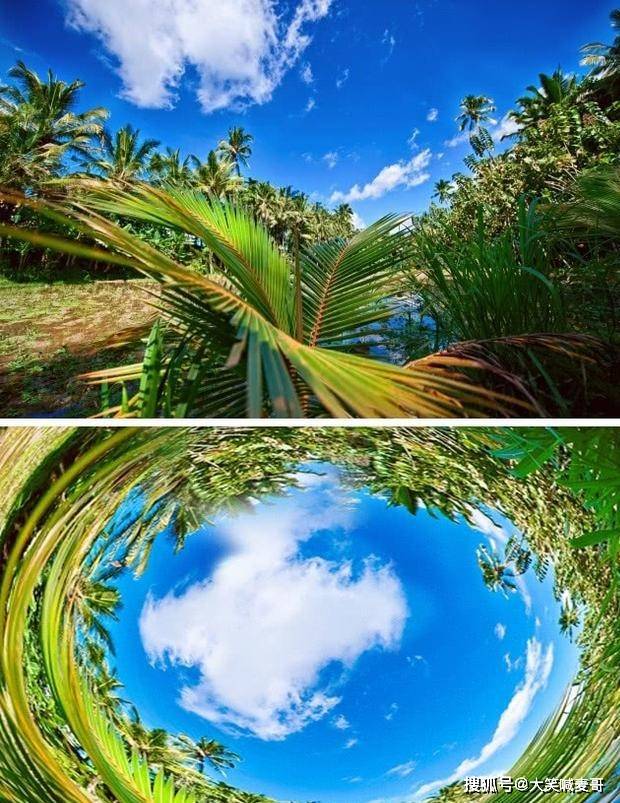 原创所有动物的视力都是独一无二的它们眼里的世界是什么样子的