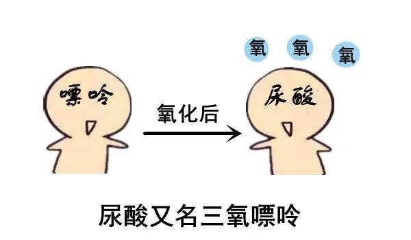18b9d2763e304b1eb8ec4f1b1a887f58.jpeg