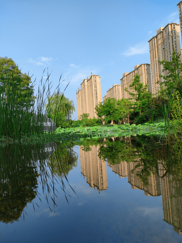 游戏|realme 真我Q3 Pro狂欢版：夏日焕新，高颜来袭