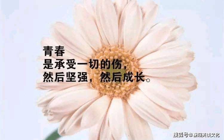2ed9a42b683f430ca71a50d5cd9bc432.png
