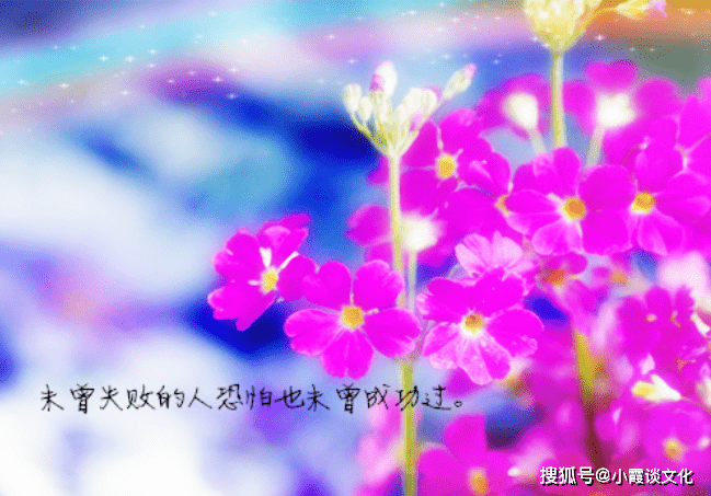 733fea5c88c04b56bc2806290590b62b.png