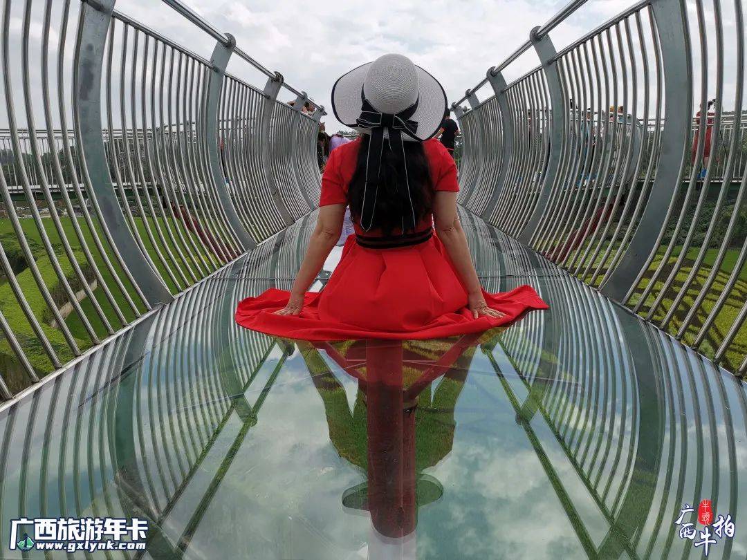 广西牛拍 | 超震撼!古辣大陆村稻画新图共赏 | 广西旅游年卡