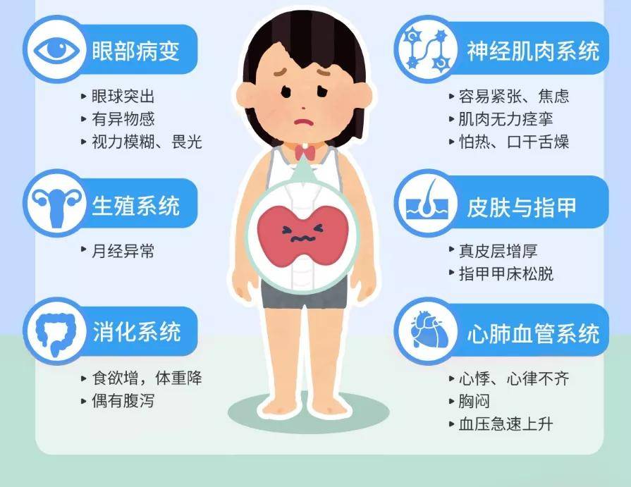 甲状腺过度活化,分泌出超过身体所需的甲状腺素,整体代谢速率便会加快