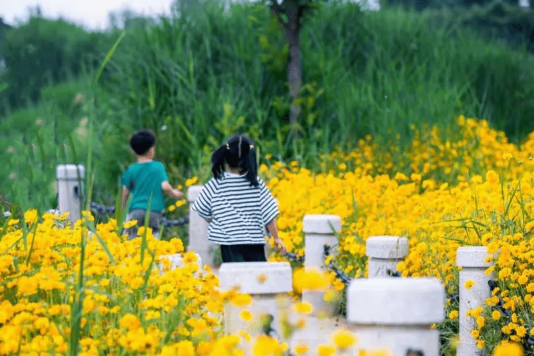 格桑梅朵|藏匿在市区的玩水纳凉好去处，野趣风光无限，仿佛置身画里！