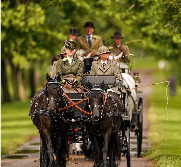 原创路易斯公主取代梅根驾着马车飒爽英姿不再是凯特婚礼上的花童
