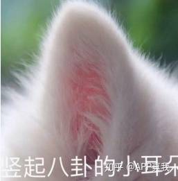 什么|“美肤基因检测”，让你的美白效果最大化，避免过敏和踩雷