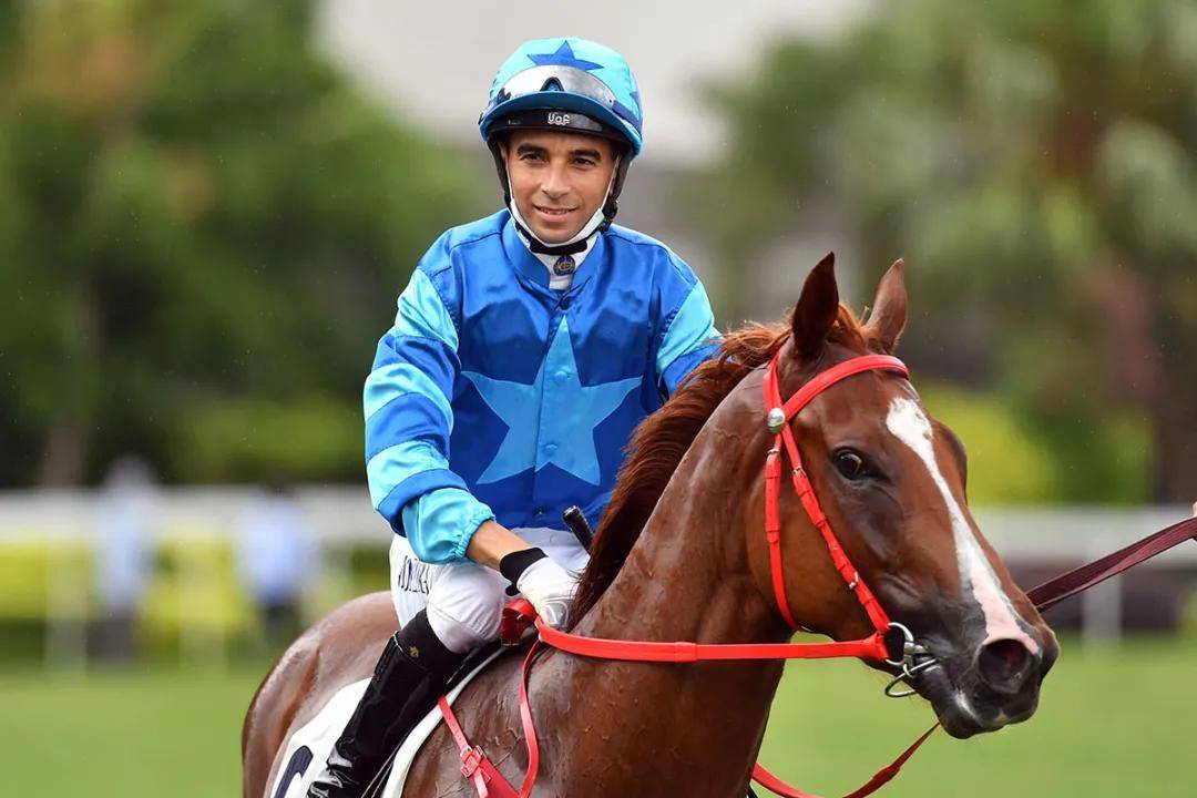 提前锁定胜局潘顿被罚停赛莫雷拉将第四度荣膺香港冠军骑师