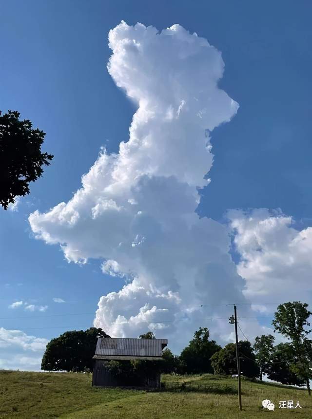 網友偶然看到狗狗形狀的雲朵,還是蹦起來的,幸運得不行