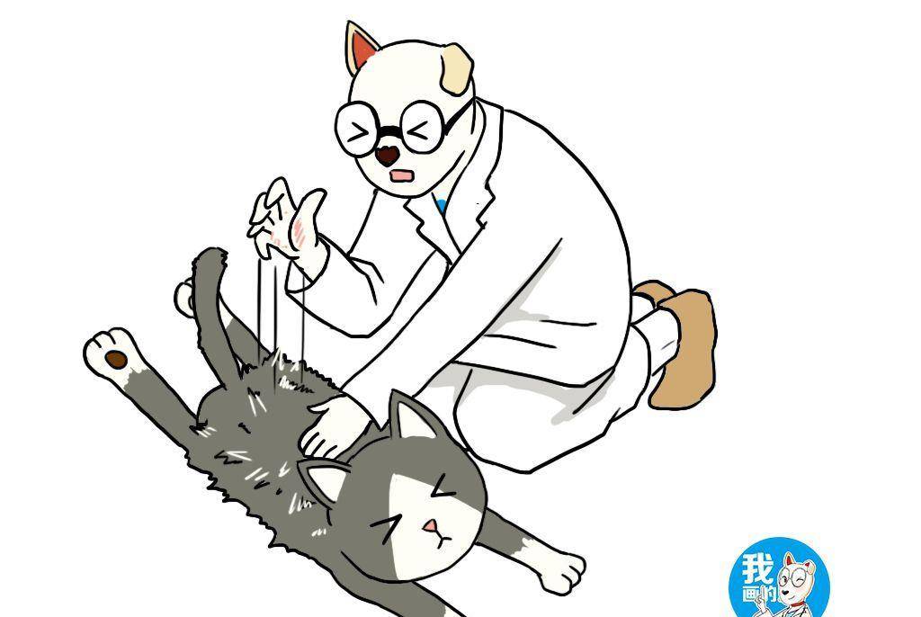 什么是主人意识 352f811d4cf44838a9924da1b1a53106.jpeg