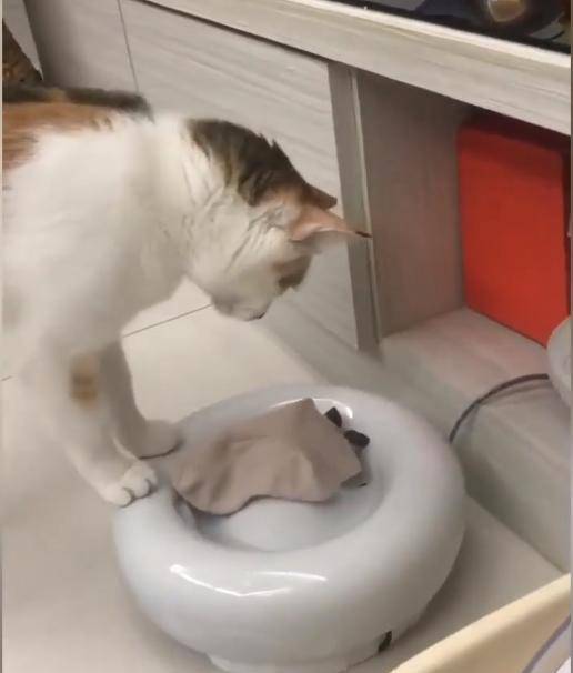3a57bef8d0df4436b7d455f5c16f1f9b.jpeg