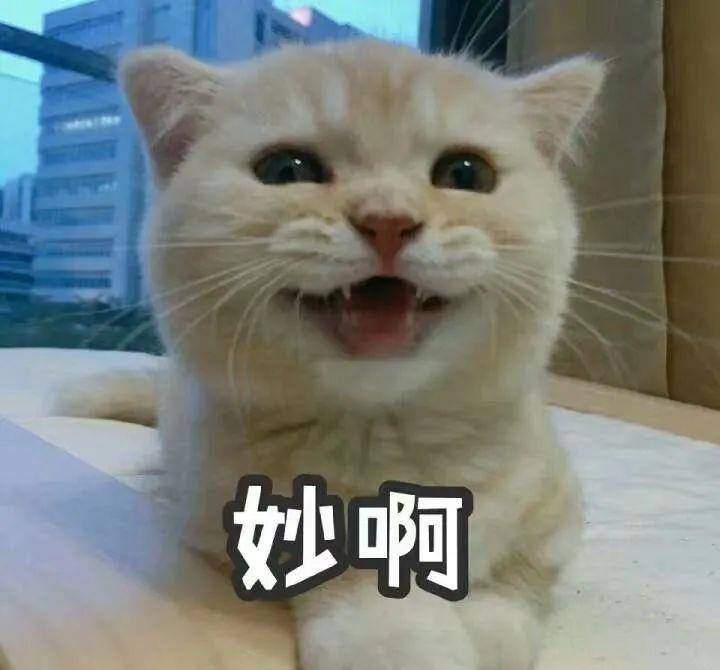 7ef5e5fe2e324dce89459eb4ede48eb5.jpeg
