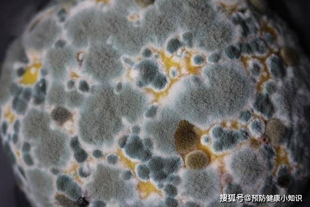 梦境迷离，解析梦见自己去毛厕拉屎，见毛坑里有屎有虫有水的深层含义