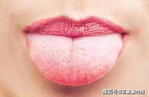 b6540bde65974d9da65a5b98034b5b81.jpeg