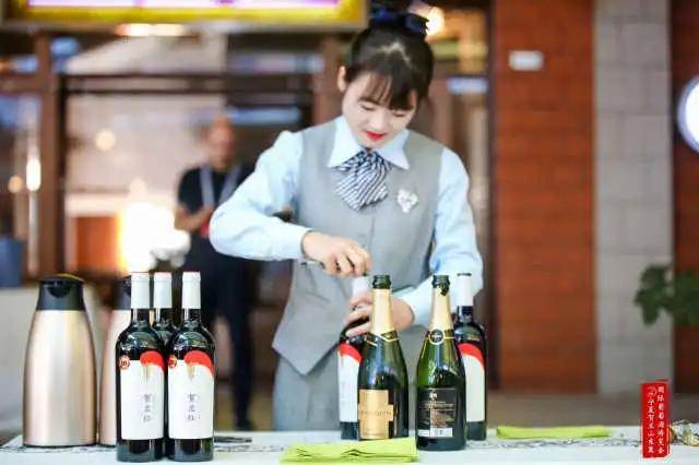 综合|全国首个针对特色产业的开放发展综试区，宁夏要干点儿啥？