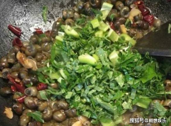 什么时候的紫苏最好 ea138504ed7d4ef38f619bb1e1dd944c.jpeg