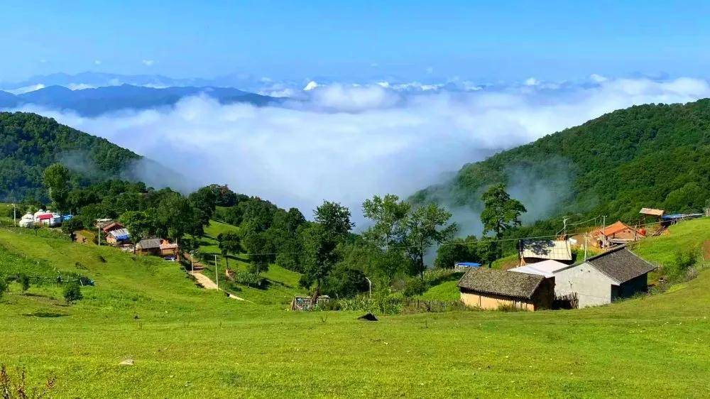 夏日来|夏日来关山草原，收获整个世界的温柔！