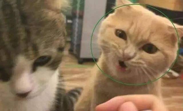 2516da4f5b224e1da5407d041d4d07da.jpeg