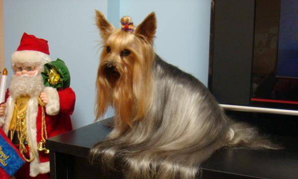 3ac3307708514b0692c08e6442ef5596.jpeg