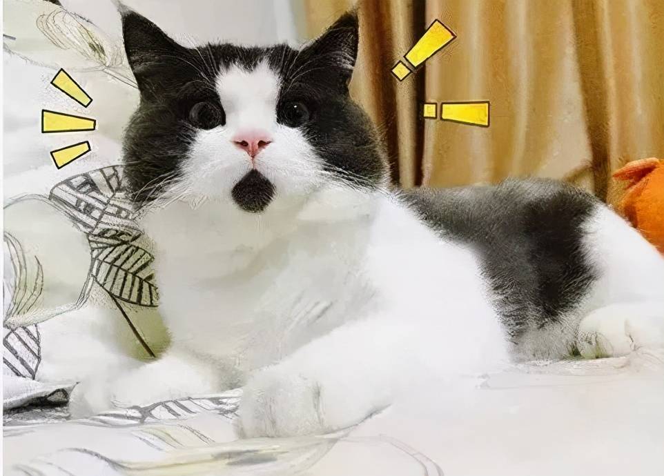 演技|李亭哲角色太会“搞事情”,“搞”完任嘉伦,又来“搞”窦骁了