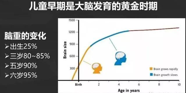 能力|郭晶晶儿子上天价幼儿园：3岁之后，孩子这一能力再不培养就晚了