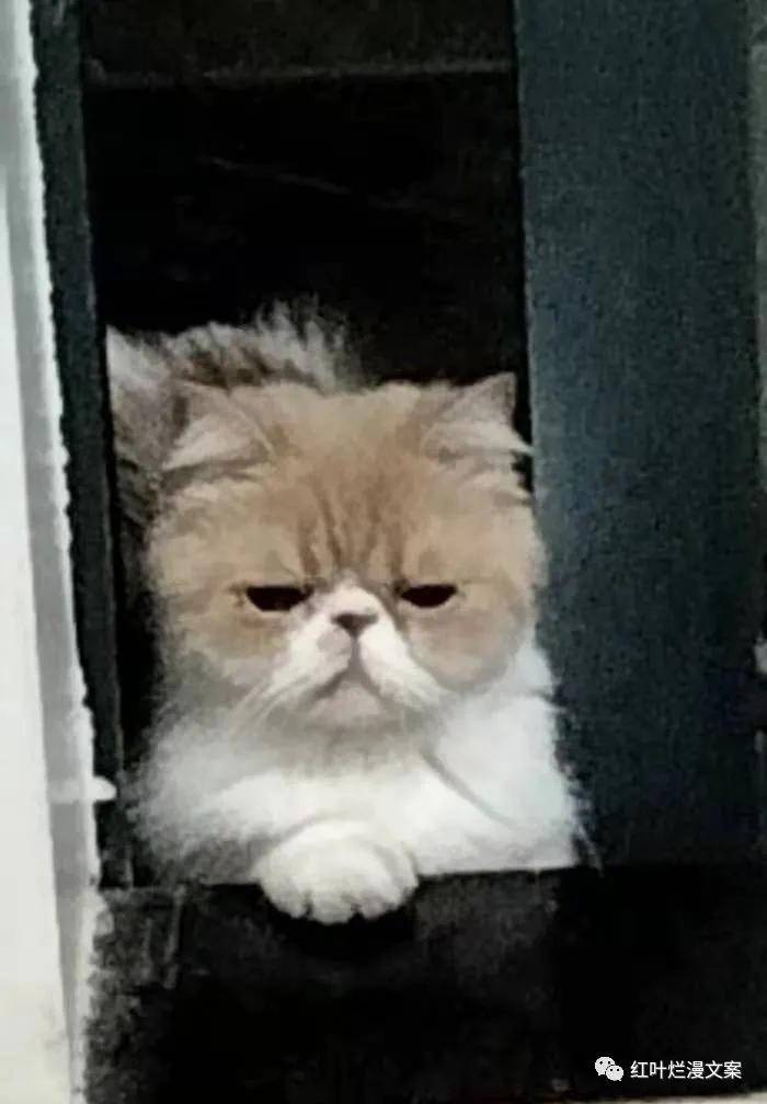 眼泪|起床第一件事——洗眼睛