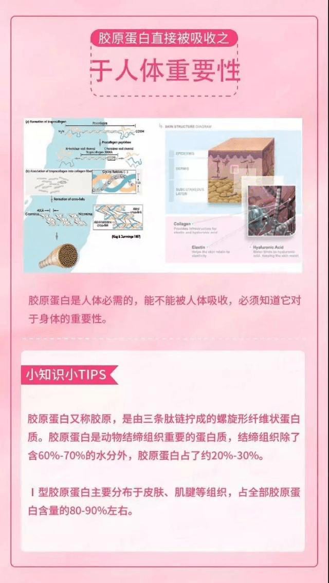 人体|紧致水润肌·养成术||胶原蛋白真的那么重要吗？