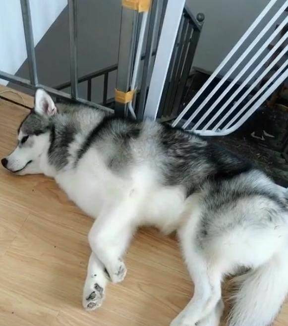 观点评论|不知道这6根铁链能否锁住这妖兽，网友：金刚伏魔锁妖大阵？