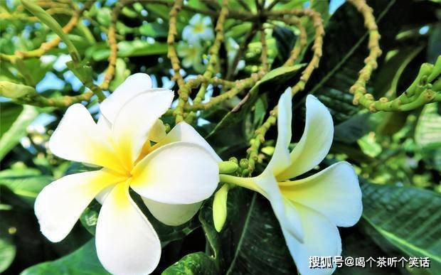 7月3日 7日星座运势 白羊突破瓶颈 天秤惊喜不断 摩羯积极乐观 感情