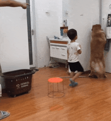 观点评论|眼看宝宝要被主人揍，金毛急中生智做了这件事，这智商我服