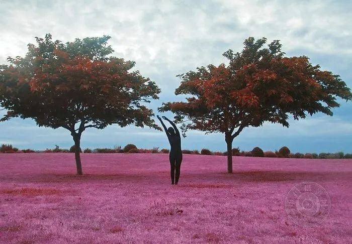 Rene|Felicia Simion | 超现实主义自拍