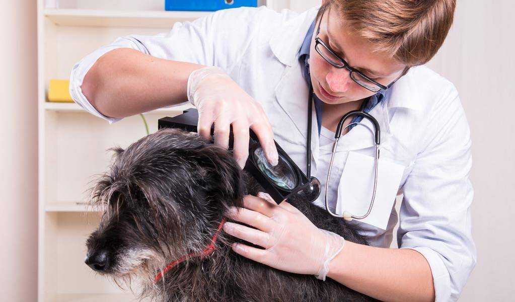 如何让自己变白十种方法 582655574bdf4f5db15651b3368cfe34.jpeg