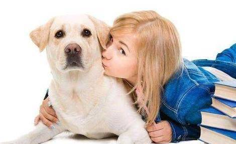 观点评论|想训练拉布拉多?这4个方法一定少不了