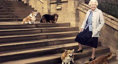 上飞机|英国王室最没规矩的“成员”,有专机接送,还敢走在女王的前面!