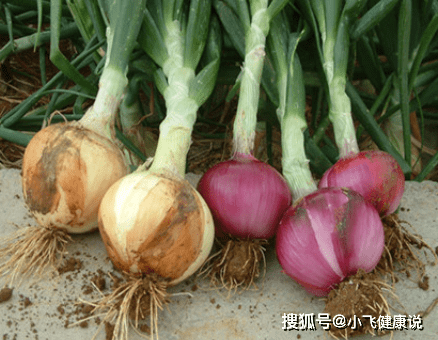 24b86189e6354878981ef4545adc664c.png
