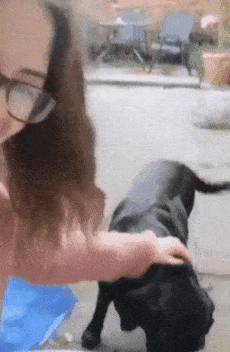 Sophie|女生失恋却意外收获暖心汪贴身守护，每天与女生共进早餐：有我呐