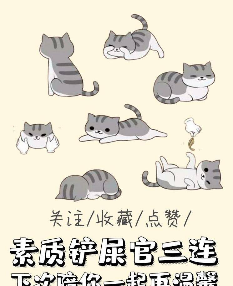 猫咪|家中小猫吃里爬外偷跑出门,原来是找邻居家狗狗,分享自己的零食