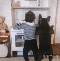 小汪|最容易跟宝宝达成共识的原来是狗