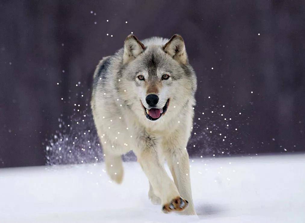 就要有微笑的资本!