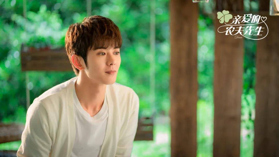 田园|专访《亲爱的农夫先生》总制片人王端：持“田园情结”利刃，血战分账剧赛道