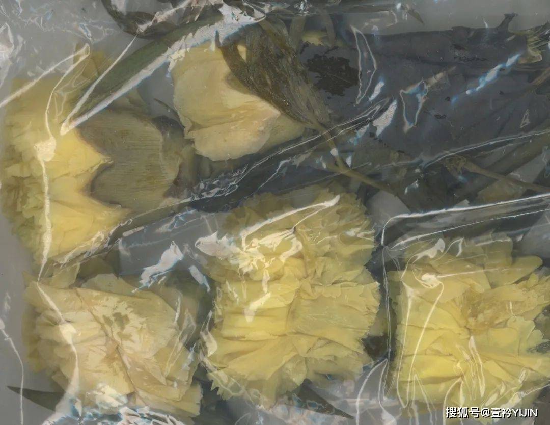 设计|帕森斯新锐 | 一场有关编织来探索自我，重塑心灵的旅程