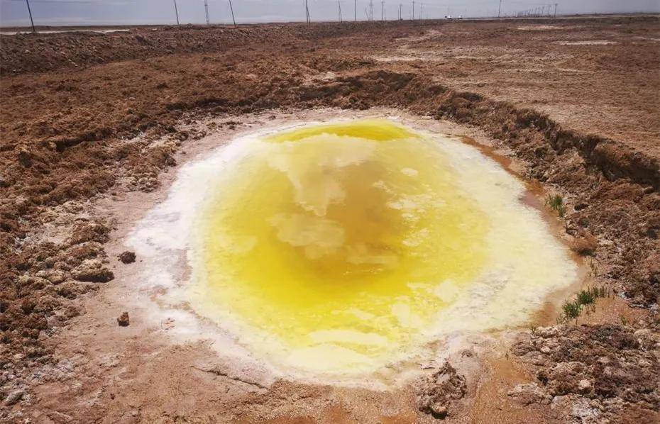 【8点见】电影《失孤》原型儿子找到!_郭刚