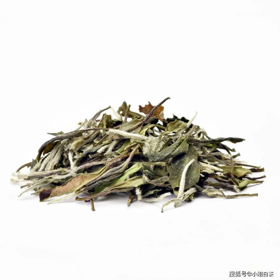 小刚|白茶“毫”的功效作用!