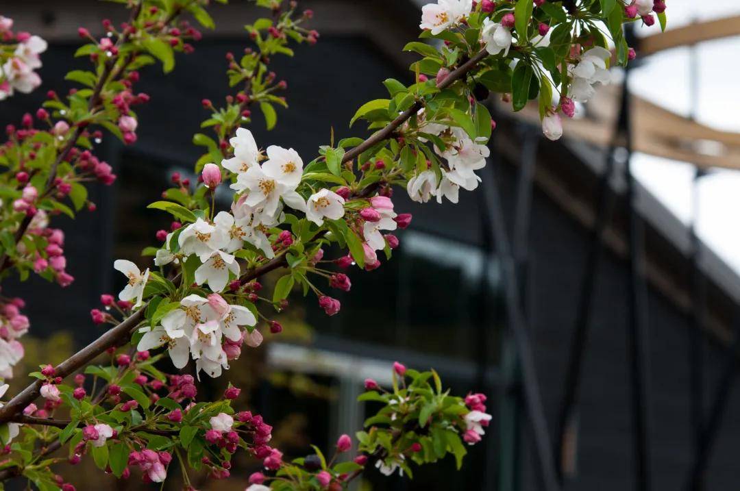 绮丽|【7.28-30 Interwine】马克斯威酒庄——美国纳帕的“谷中之谷”酒庄