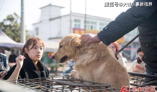 原创徽州宴老板娘放出来了，道歉信再次挑战网友底线，神秘人张丽现身