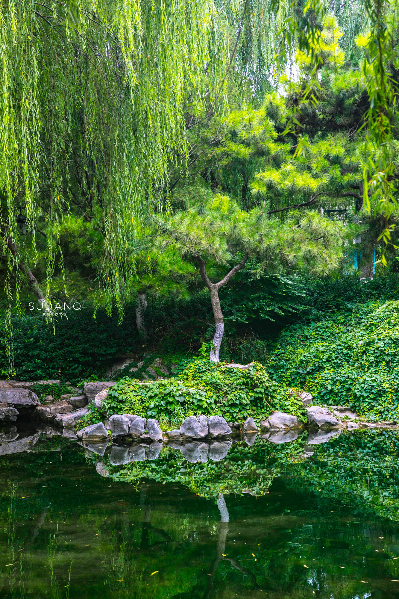 网友劝我夏天别来济南！天下第一泉已有3500年历史，令人无限向往