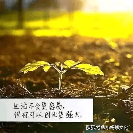 人怎么才能变得坚强 8910c892ee7b46f3b2305e64290dd209.png
