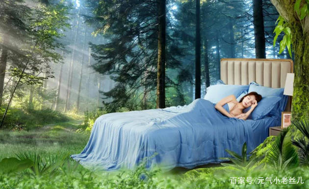 品牌|杭州蚕丝被十大品牌,什么牌子的蚕丝被更好?