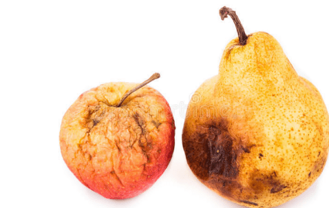 很容易滋生大量的细菌,病毒等,此外还会产生一种致癌物——黄曲霉毒