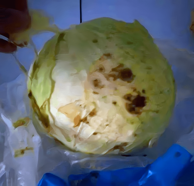 食堂|河北一幼儿园现臭肉馅，园长将“恶臭”命令发到家长群