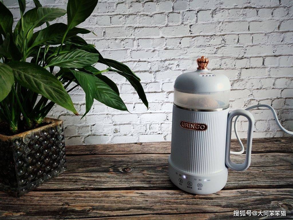 时间|七彩叮当迷你养生壶 健康养生 随心品味小资情调